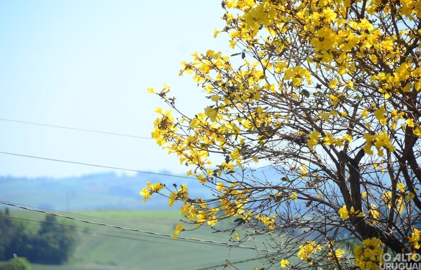 Primavera terá chuvas abaixo da média