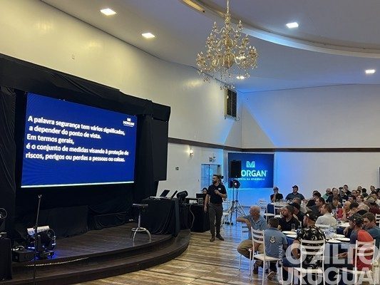 Morgan apresenta híbrido de milho superprecoce e de alta performance produtiva