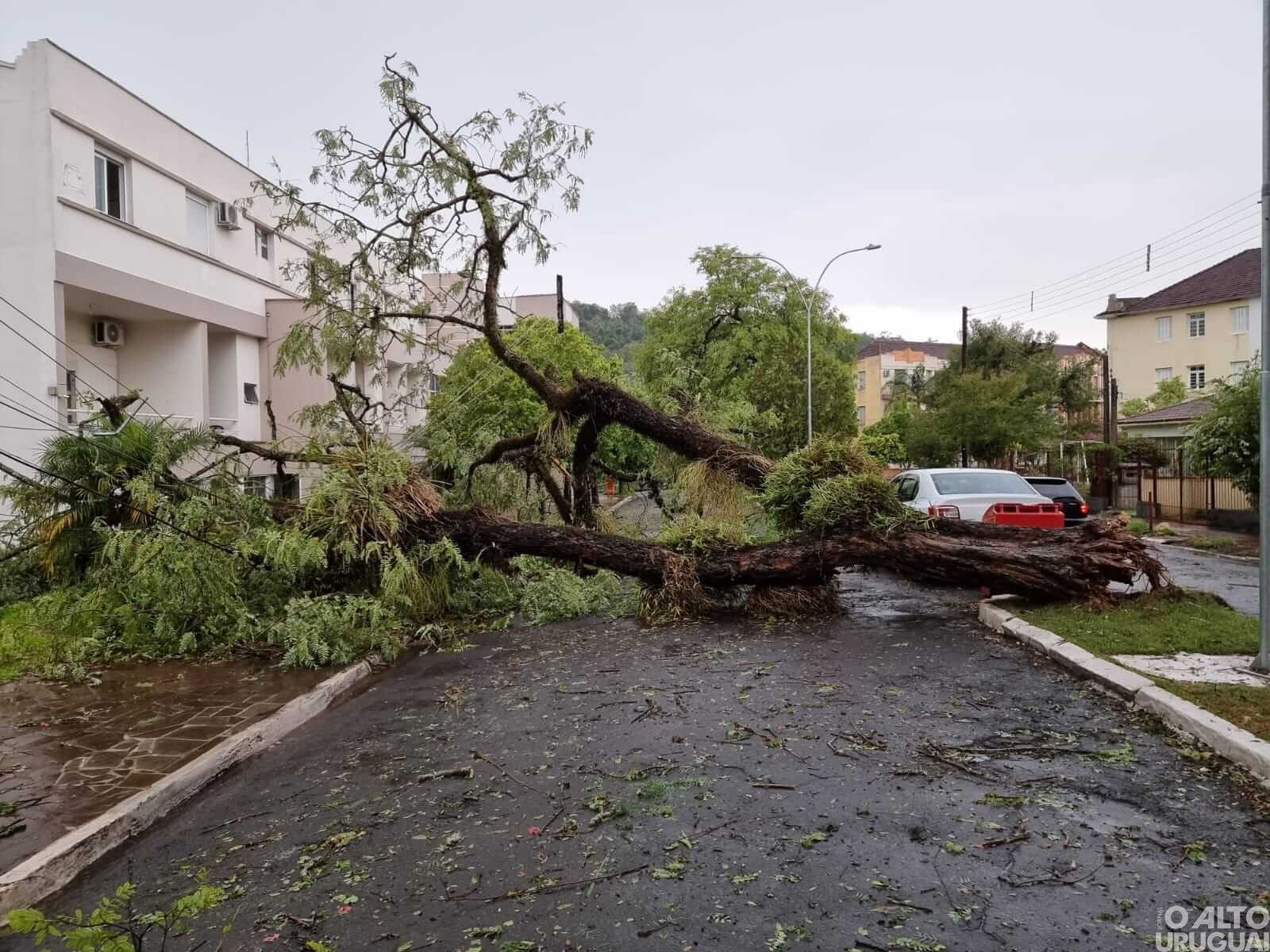 “Uma estiagem avassaladora, agora um temporal para levar o restante”