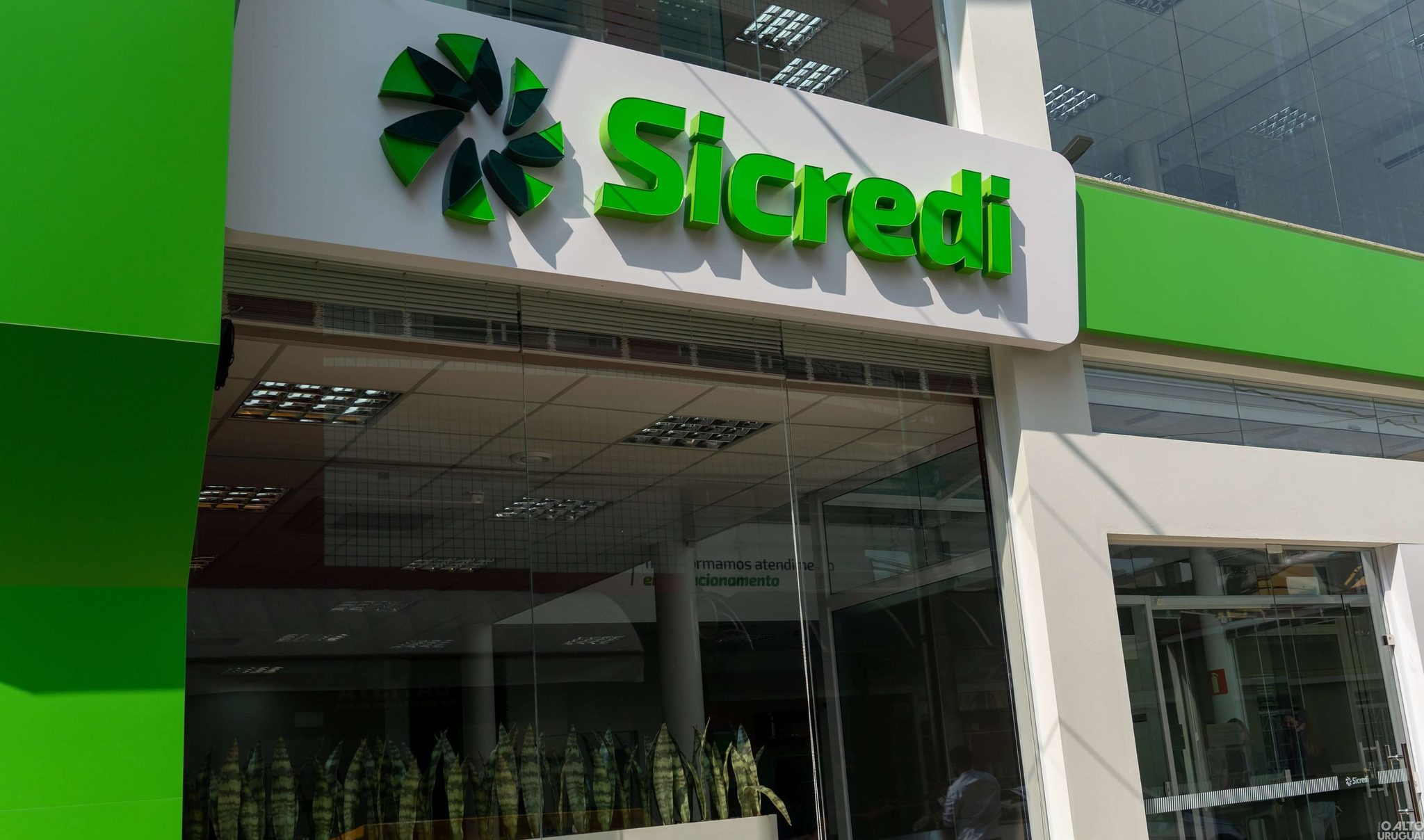 Sicredi é destaque em duas categorias do Prêmio Broadcast Projeções