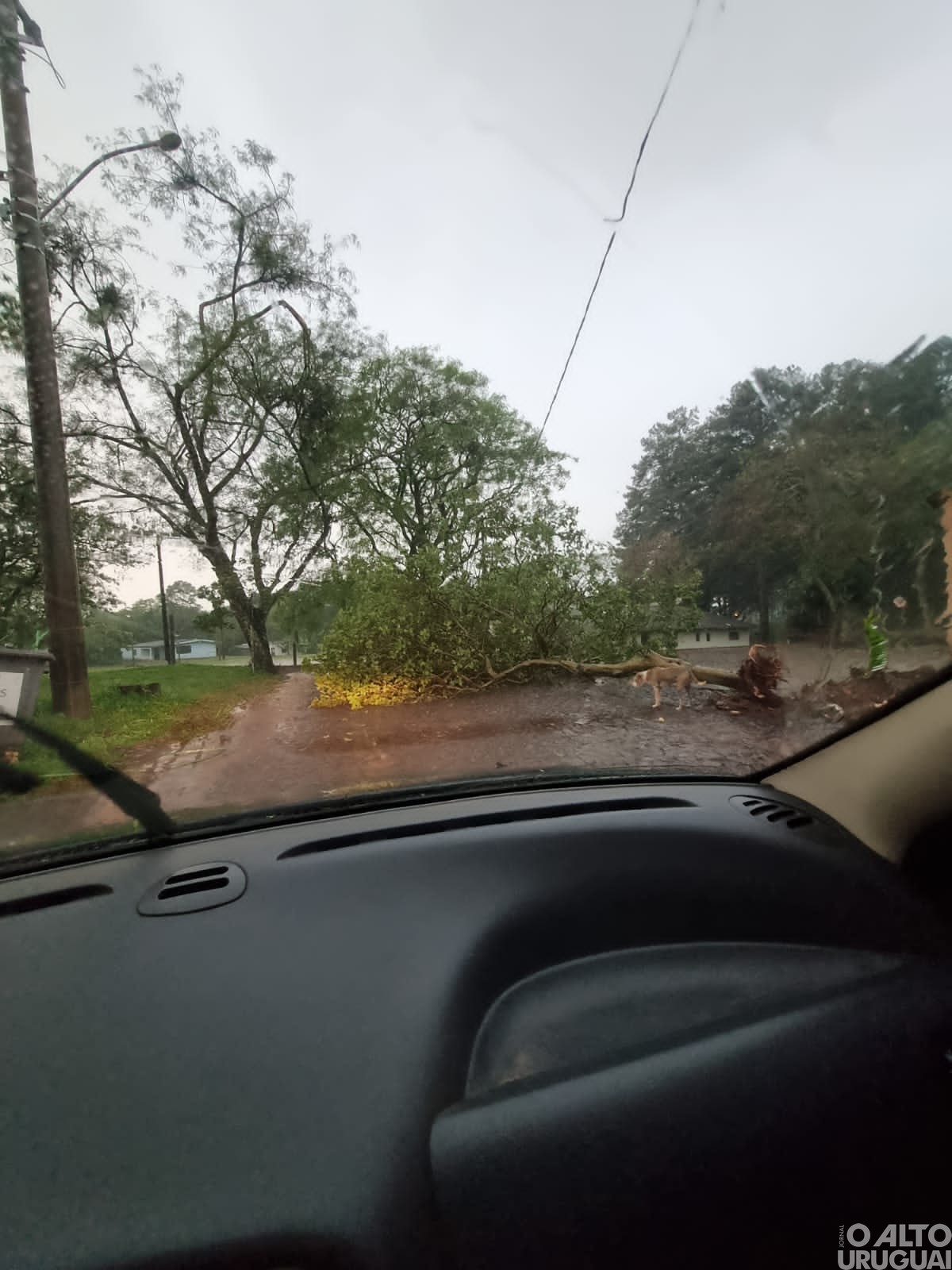 Temporal causa estragos no campus do IFFar em FW