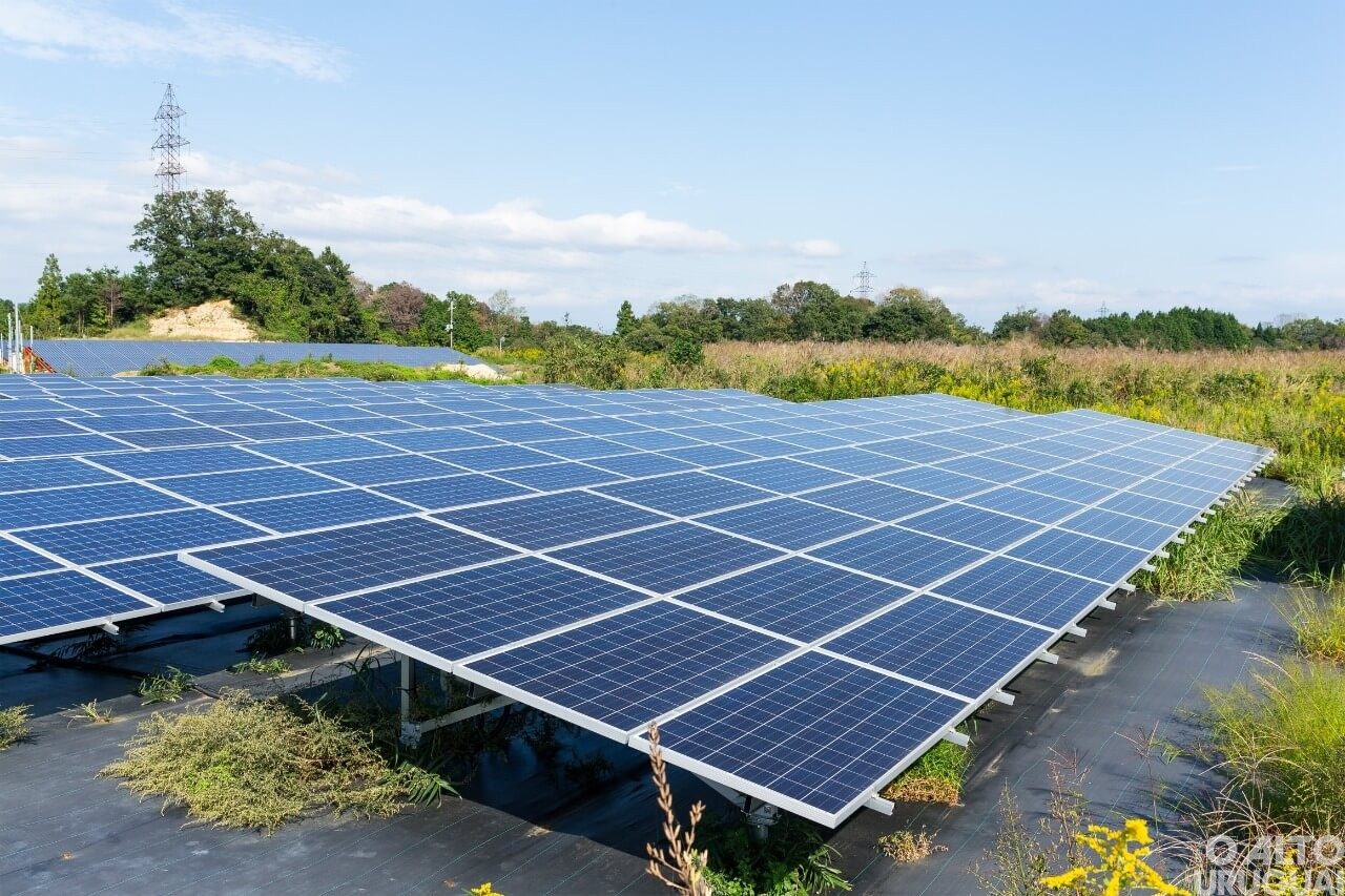 Sicredi registra aumento superior a 20% na concessão de crédito para energia solar no primeiro semestre de 2022