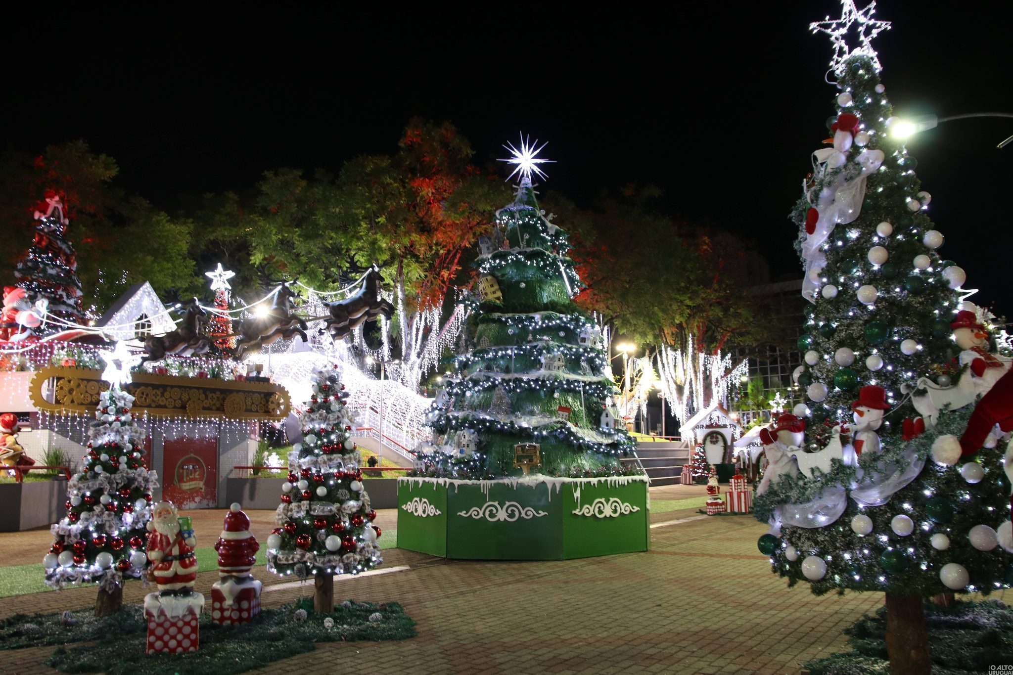 Abertura oficial do Frederico em Luz acontece no domingo