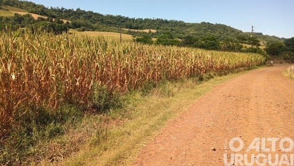 Entidades de agricultores do RS apresentam demandas para mitigar prejuízos