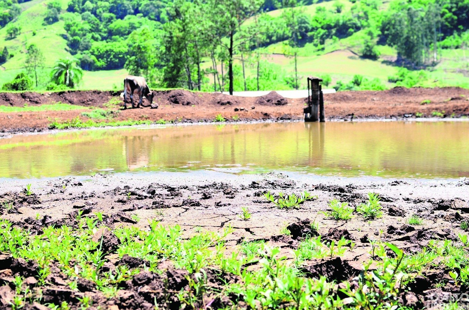 Governo federal lança grupo de trabalho para sanar efeitos da seca no RS