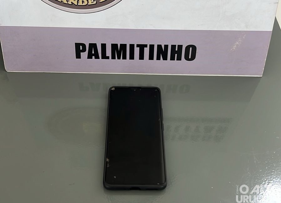 BM prende homem por furto de celular em Palmitinho