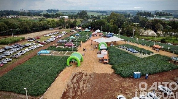 Cotrifred prepara evento especial para celebrar 67 anos