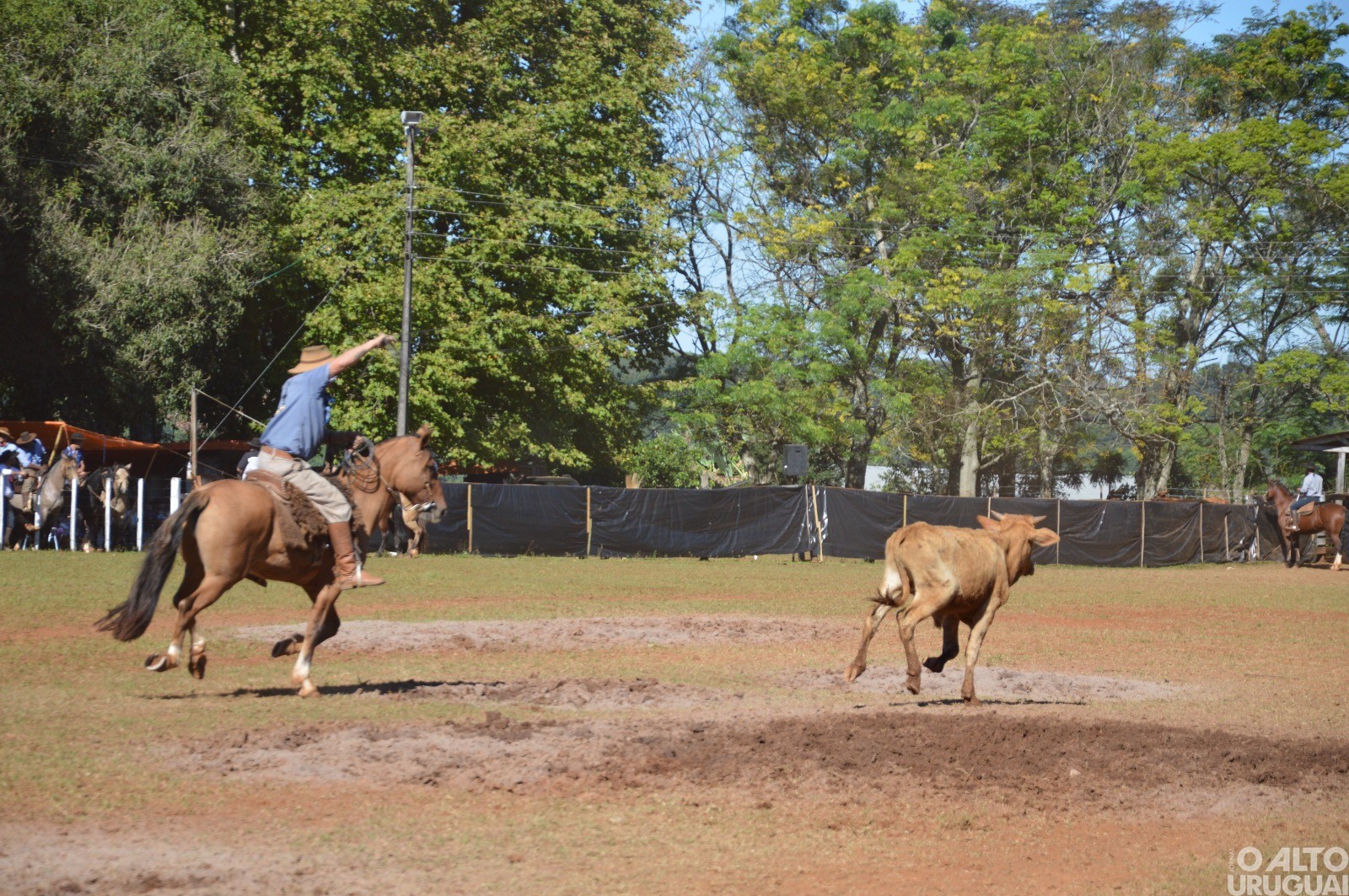 Rodeio Crioulo de FW encerra neste domingo