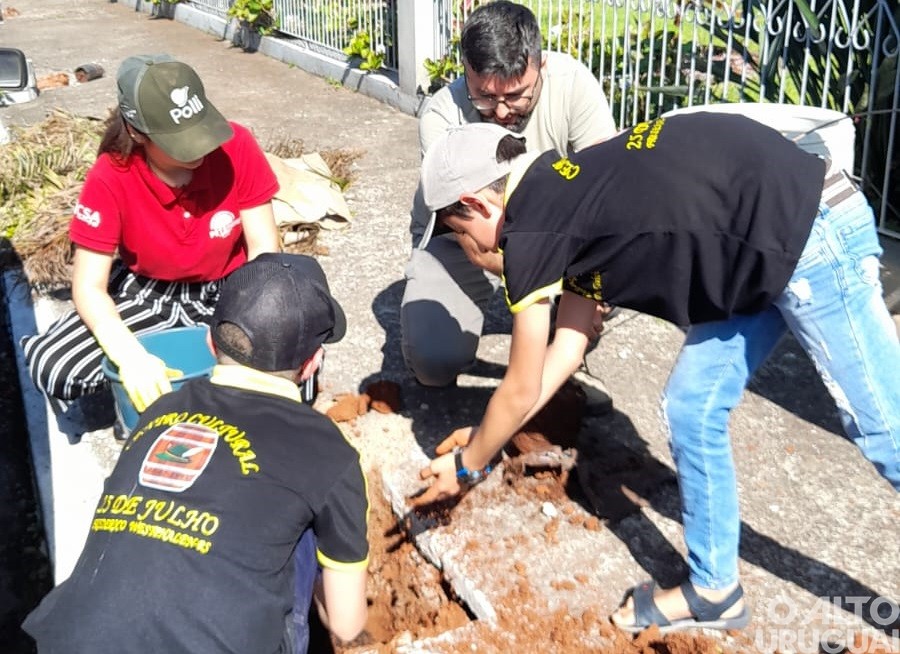 Centro Cultural 25 de Julho realiza projeto de arborização em FW