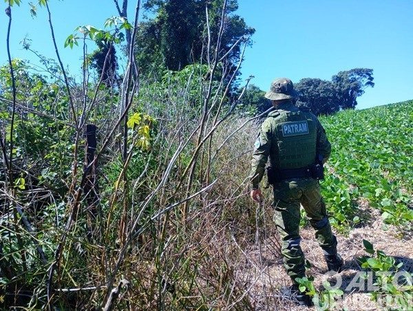Brigada Militar flagra desmatamentos em Vicente Dutra e Caiçara
