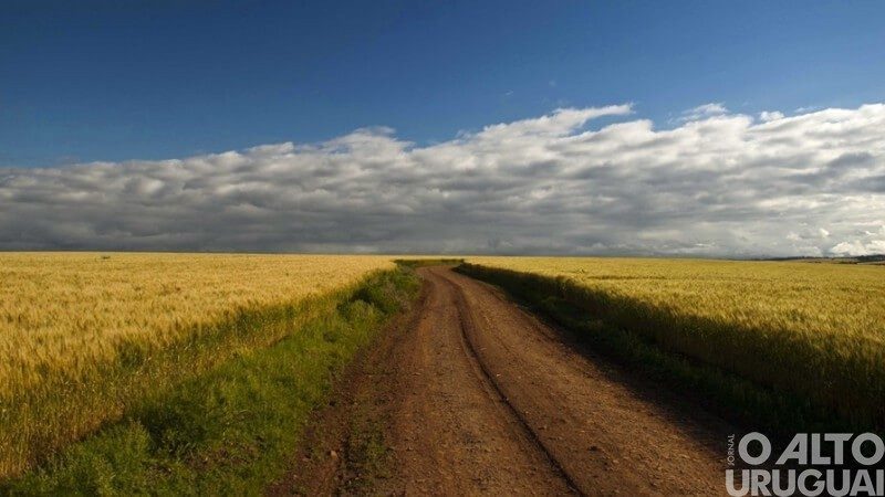 El Niño deve reduzir em -14% a safra gaúcha do grão