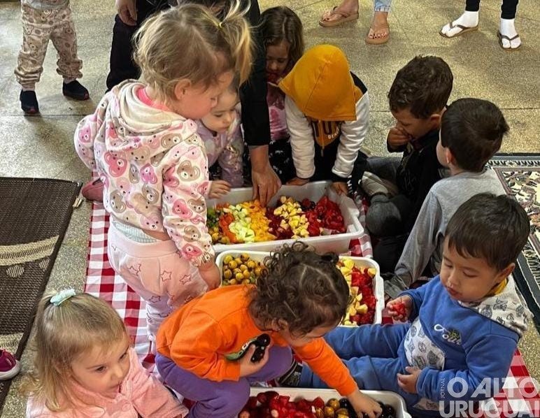 Jaboticaba é exemplo de merenda escolar saudável e sustentável