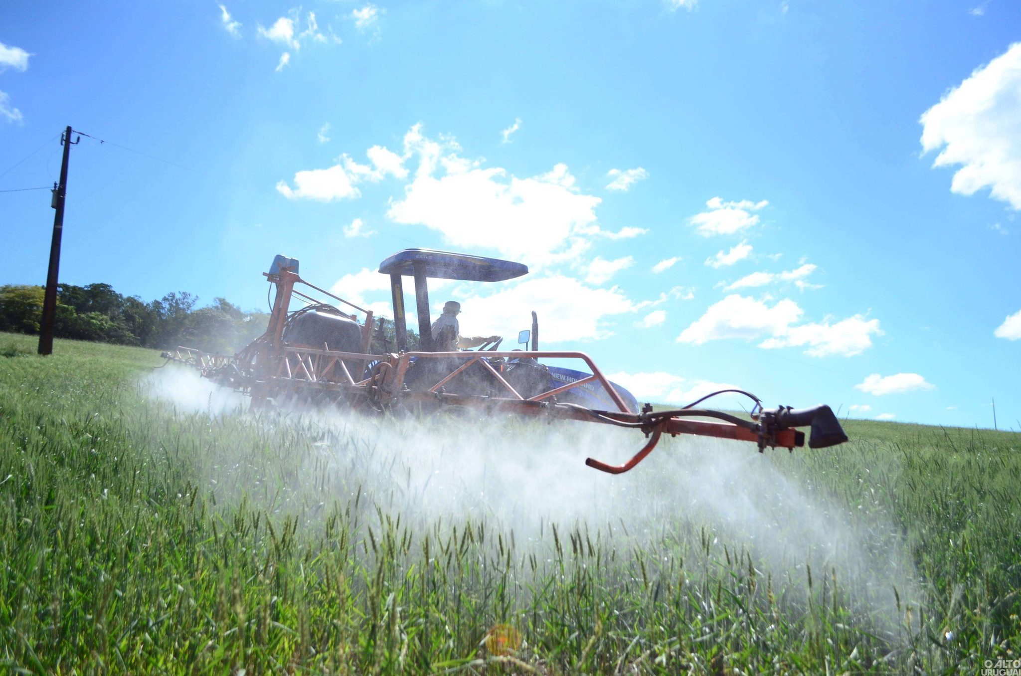 Agrotóxico carbendazim tem uso suspenso pela Anvisa