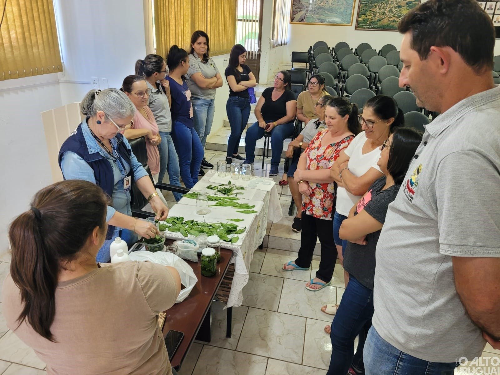 Plantas bioativas a favor da promoção da saúde é tema de oficina em Novo Tiradentes