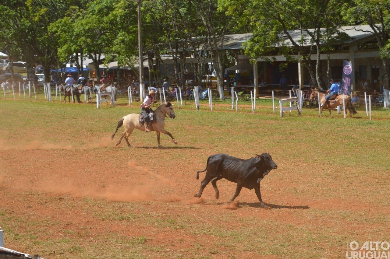 Rodeio Crioulo Interestadual de Seberi encerra neste domingo
