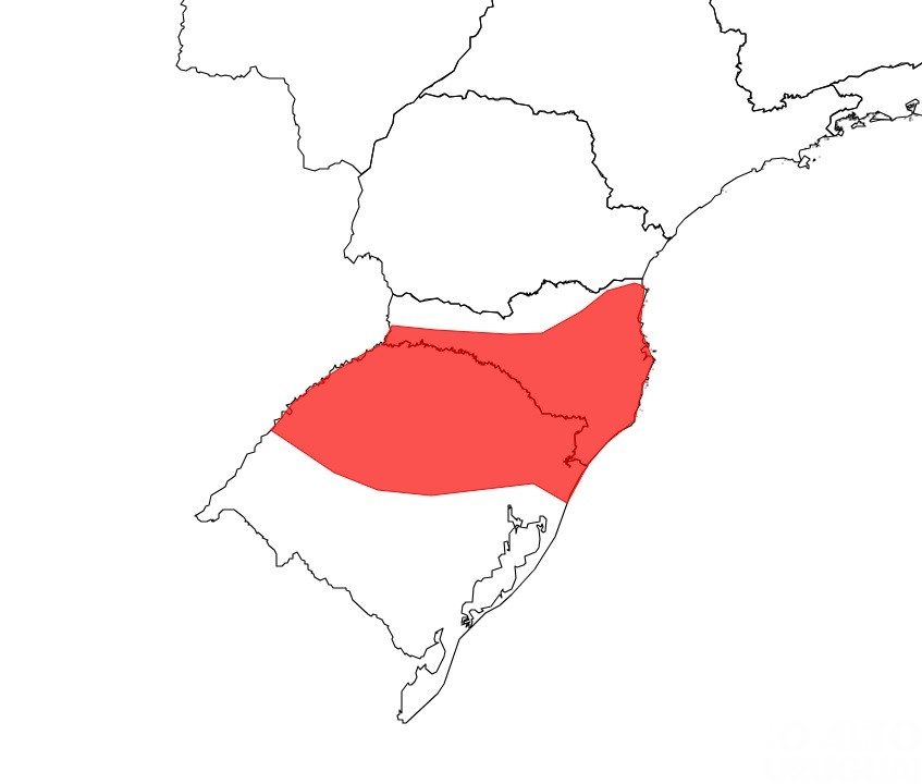Inmet alerta para risco de tempestade na região até esta quinta-feira