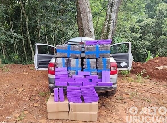 Polícia apreende 125 kg de maconha em Pinhalzinho