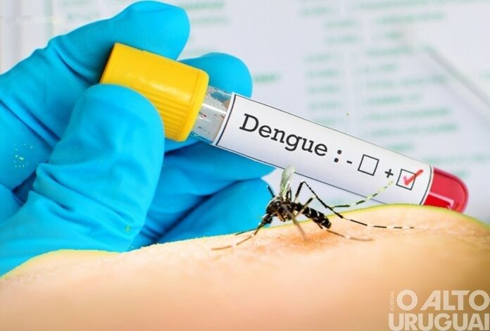Enchentes aumentam risco de agravamento do cenário da dengue