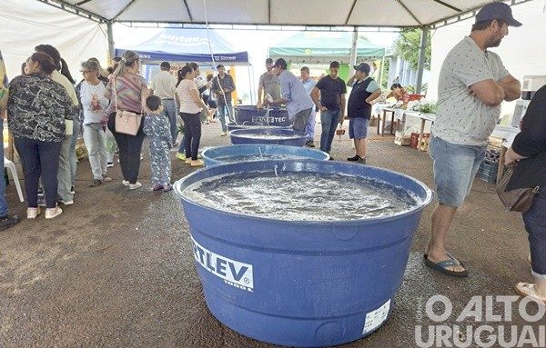Frederico Westphalen terá venda de peixe vivo
