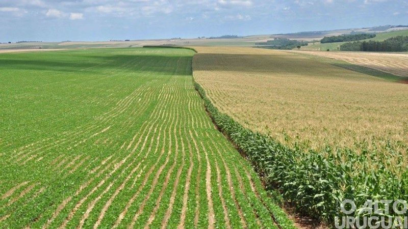 Publicada MP para desconto e renegociação de dívidas bancárias de produtores rurais gaúchos