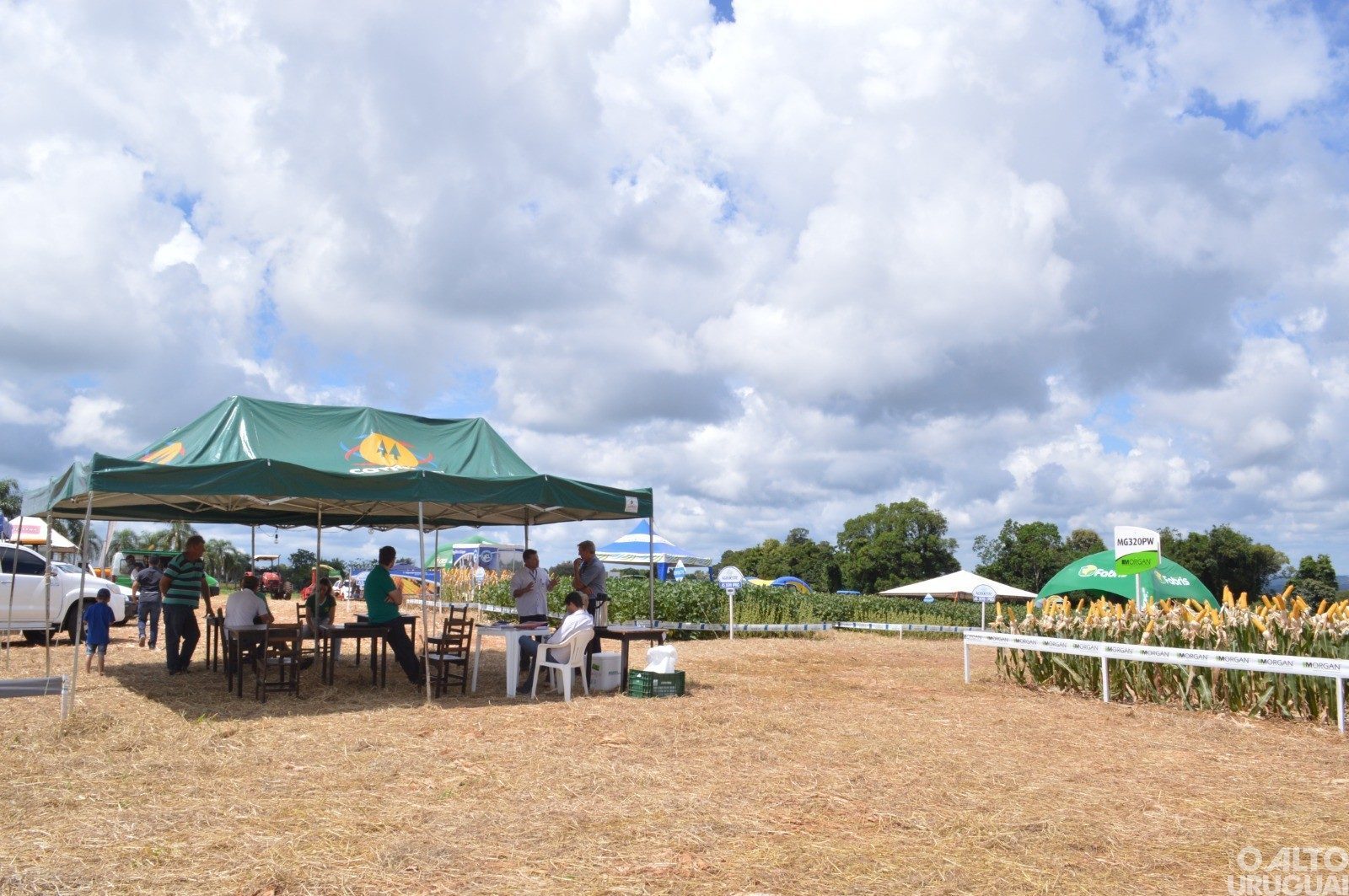 Cotrifred realiza Dia de Campo no dia 2 de março