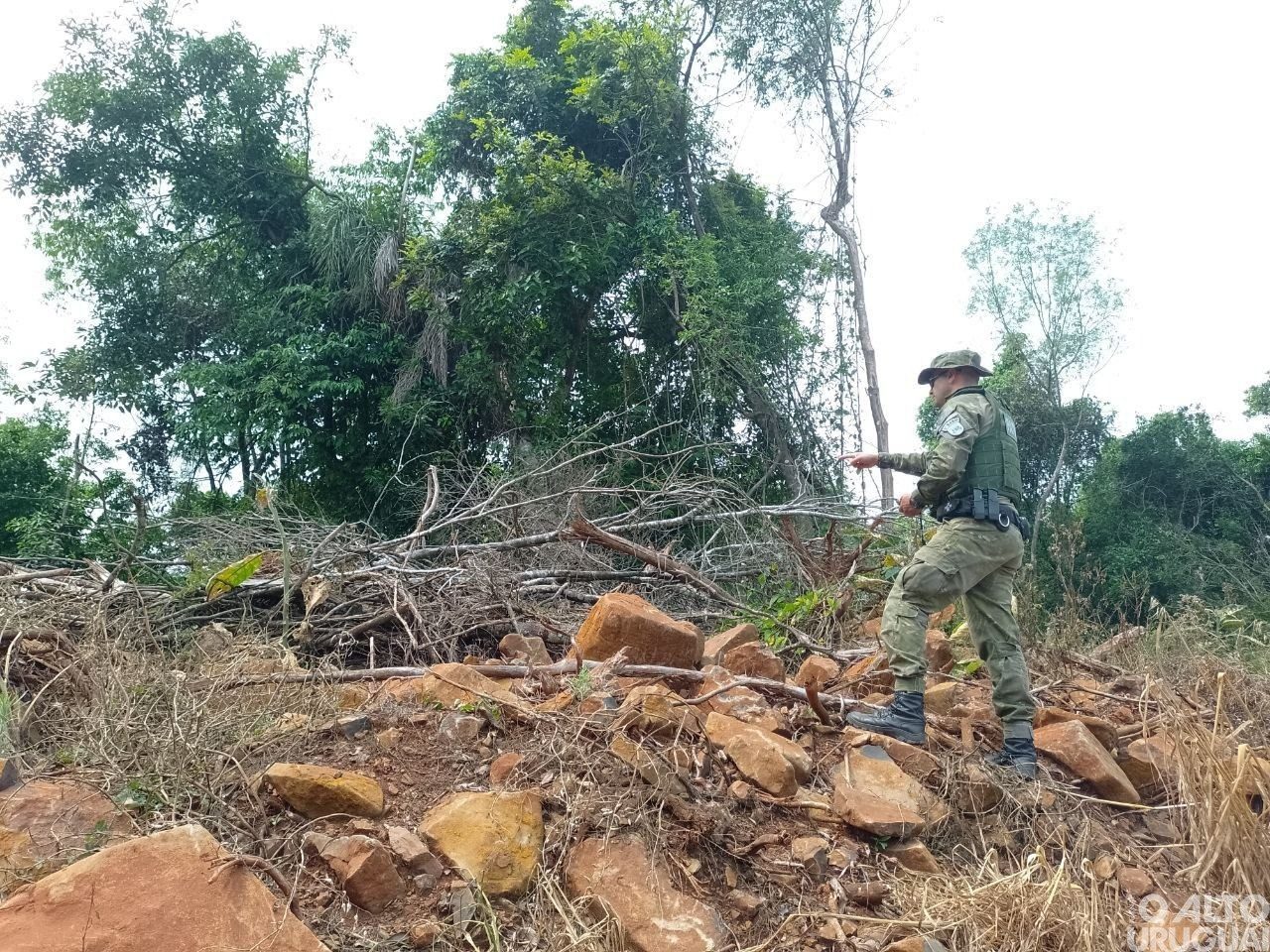 BM constata destruição de vegetação nativa em Planalto
