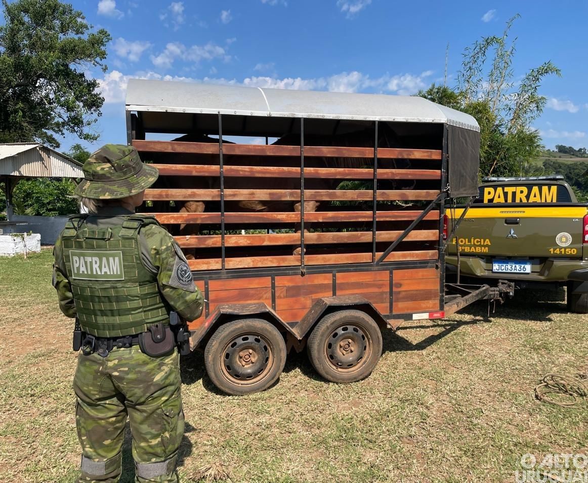 Batalhão Ambiental realiza fiscalização e combate a maus-tratos a animais