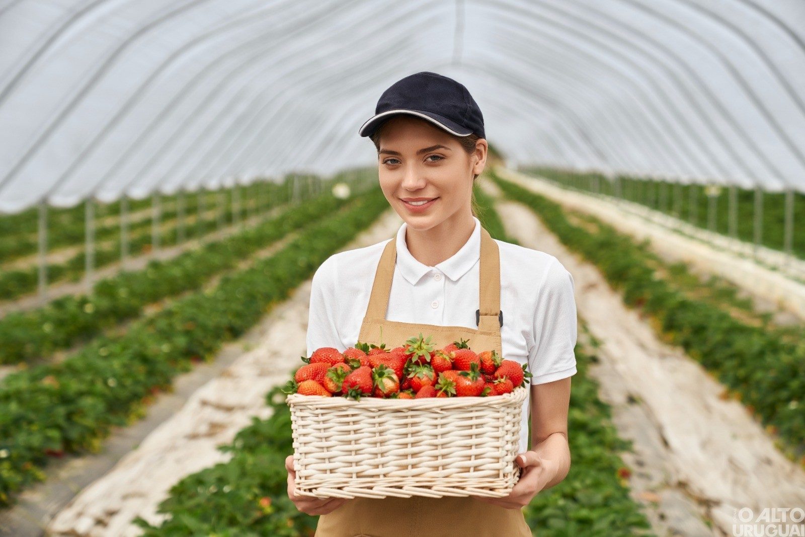 Governo lança linha de crédito específica para pequenas agricultoras no Pronaf Mulher