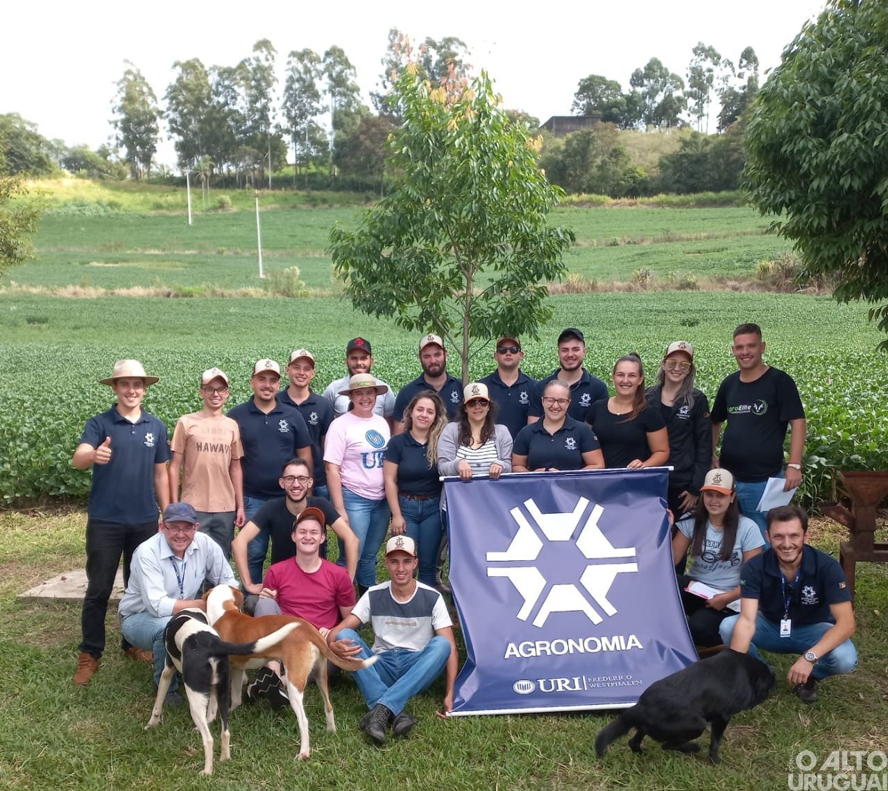 Agronomia: curso forma profissionais para sucessão rural e desenvolvimento regional