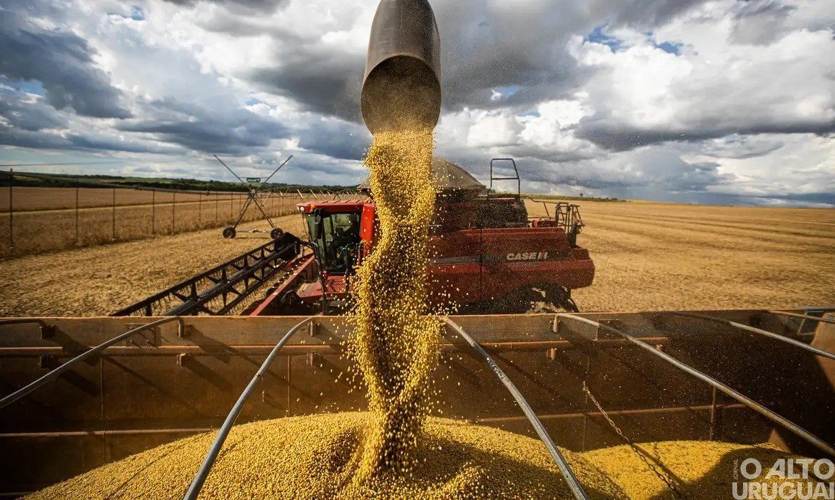 Rio Grande do Sul deve ter a maior produção de grãos da sua história