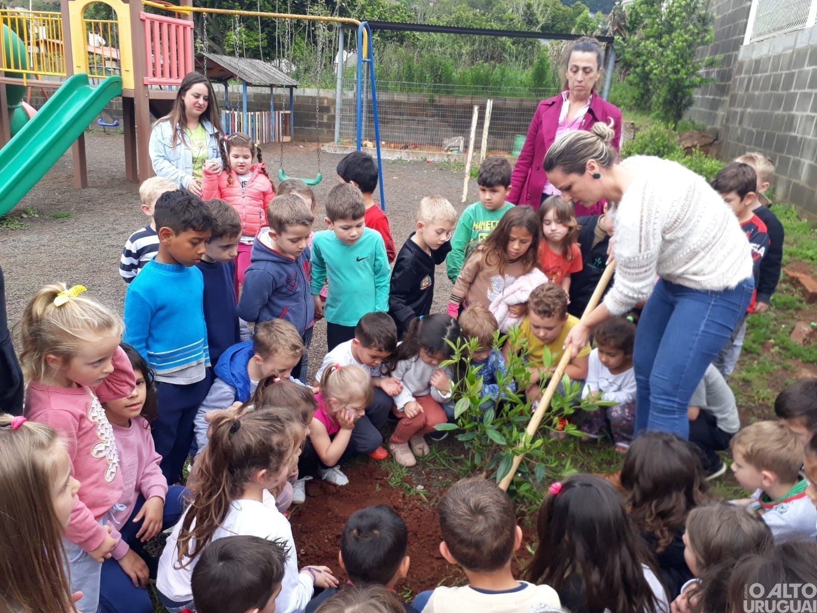 Sicredi lança Movimento de Voluntariado no Dia de Cooperar