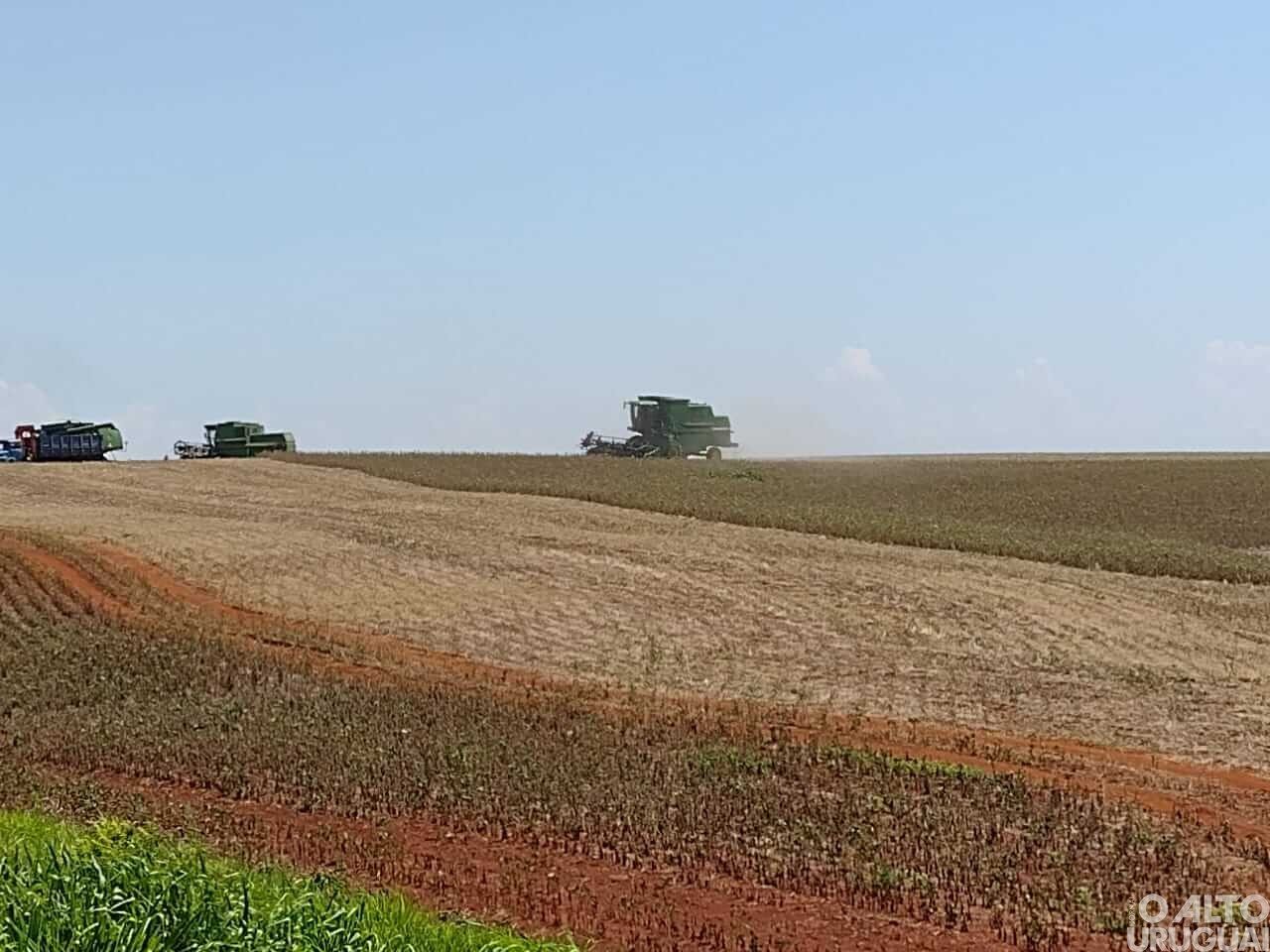 Colheita de soja alcança 3% das lavouras do RS