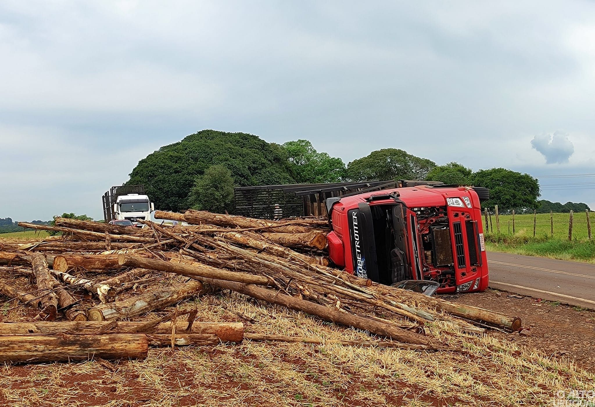 Carreta carregada com madeira tomba na ERS-323 em Jaboticaba