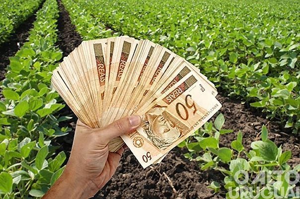 BNDES terá R$ 14,8 bilhões para a agricultura familiar