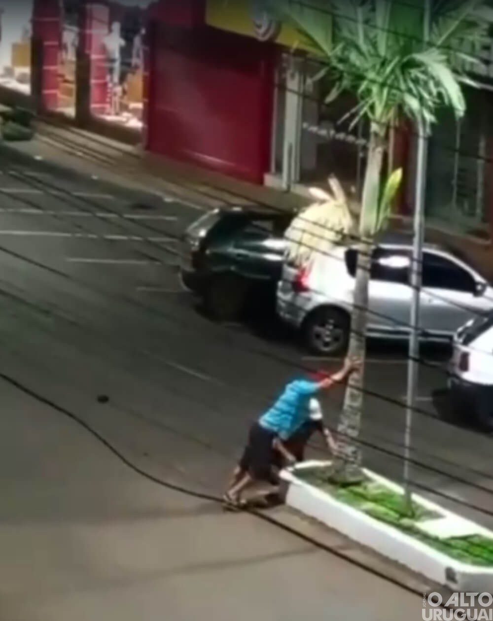 Árvores foram removidas de canteiro a pedido da prefeitura