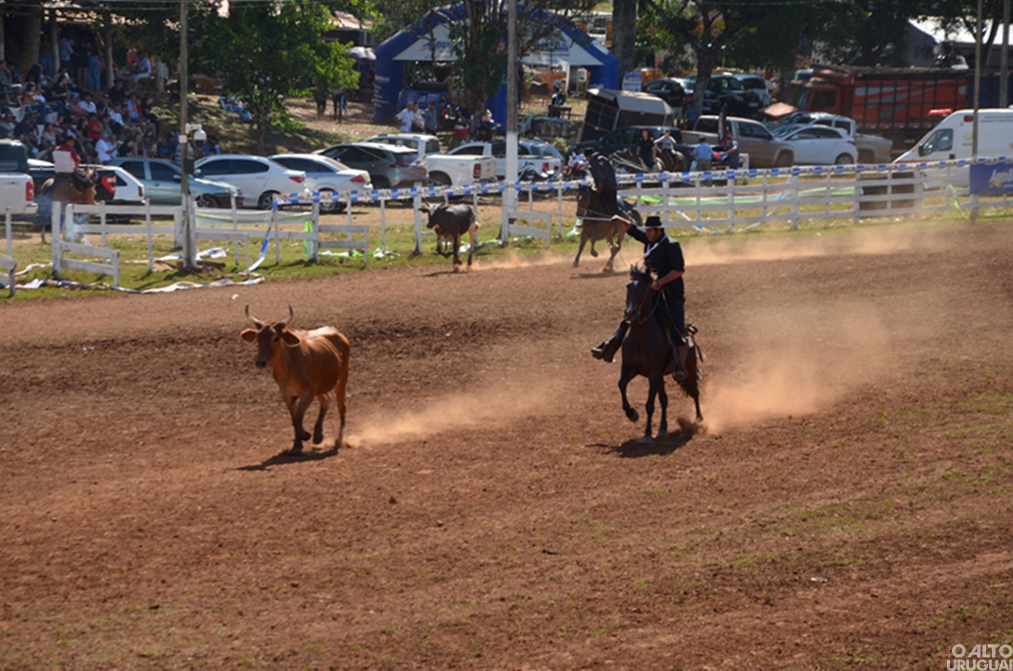 14º Rodeio Crioulo de FW chega ao fim superando as expectativas