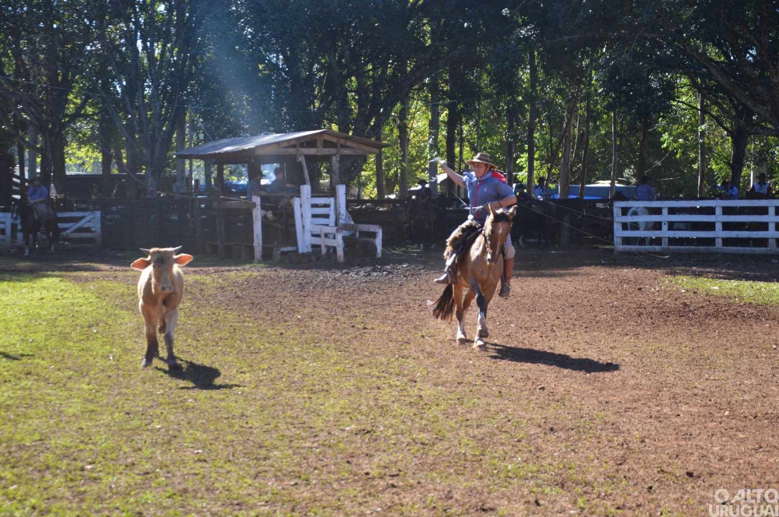 Rodeio Crioulo de FW encerra neste domingo