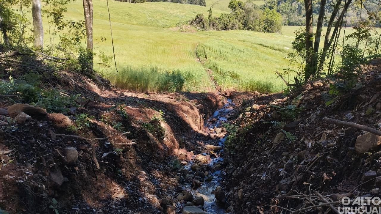 Desmatamento em Erval Seco e Dois Irmãos das Missões somam 62 mil metros quadrados