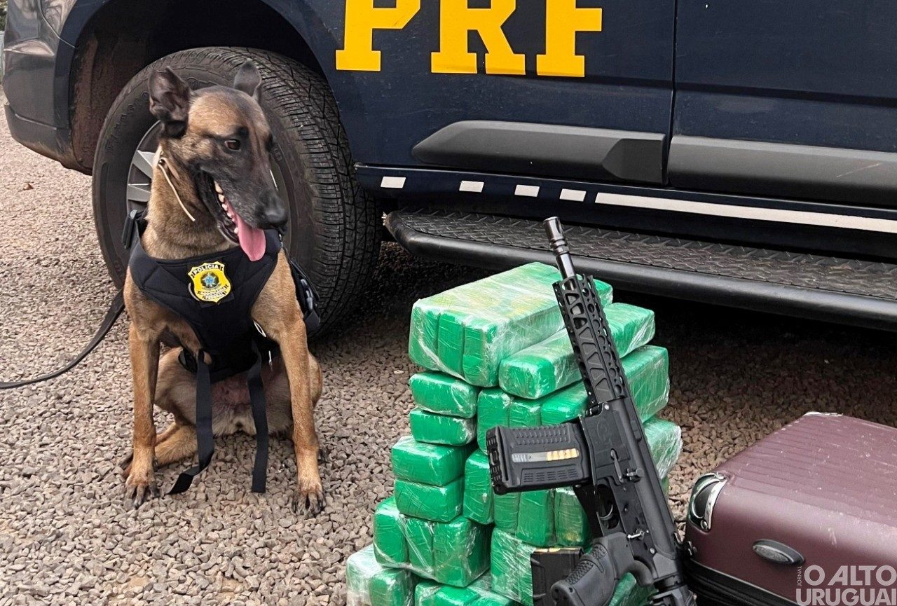 PRF encontra maconha, fuzil e munições com menor de idade