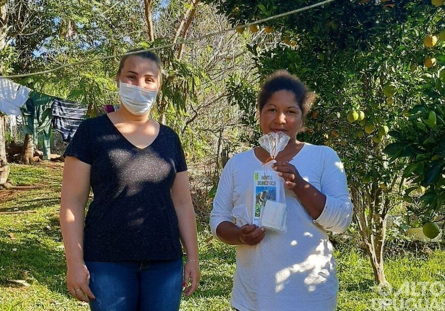 Rodeio Bonito: projeto incentiva famílias carentes a produzirem alimentos