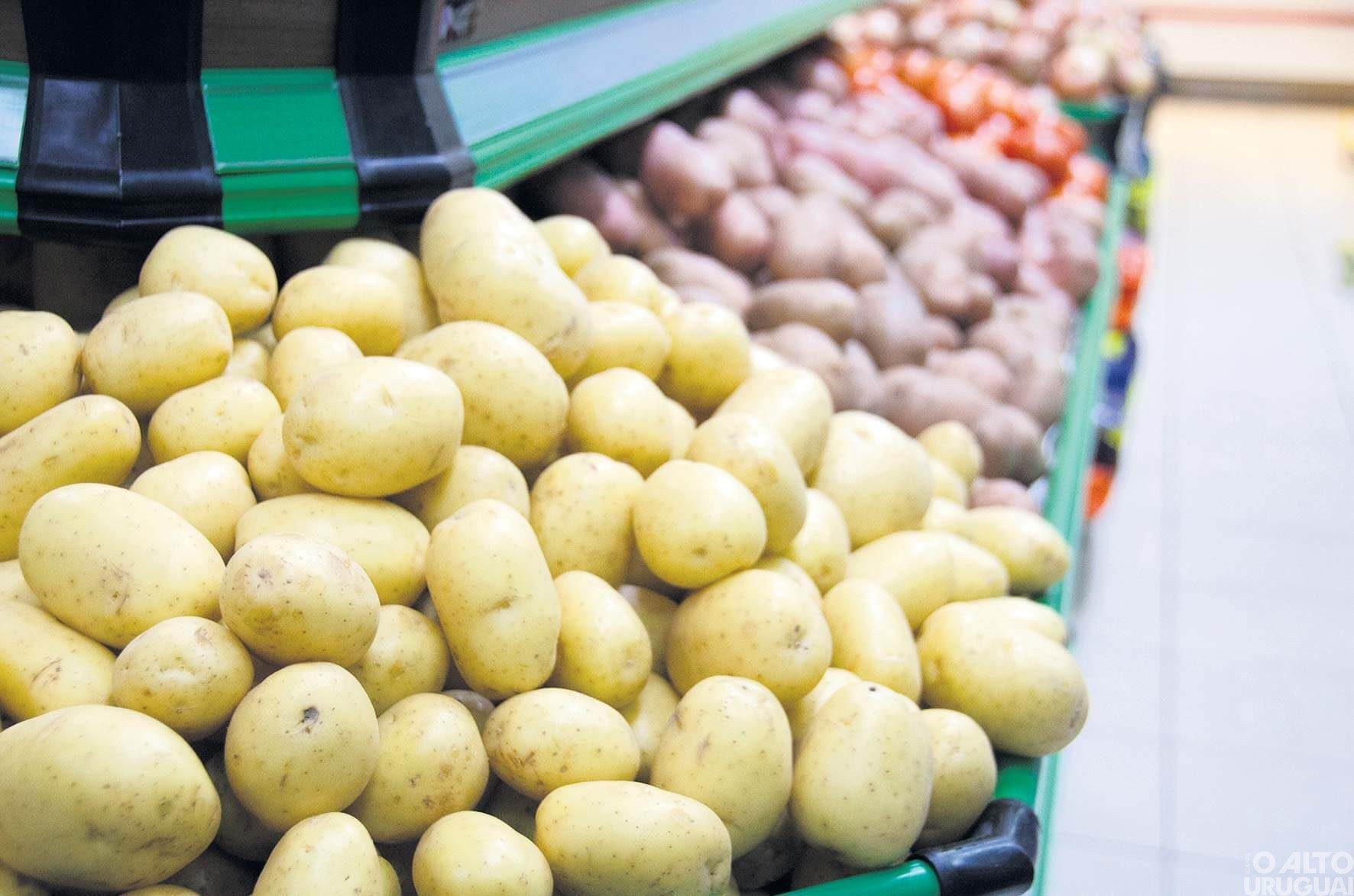 Custo da cesta básica sobe 6,88% no último mês em FW