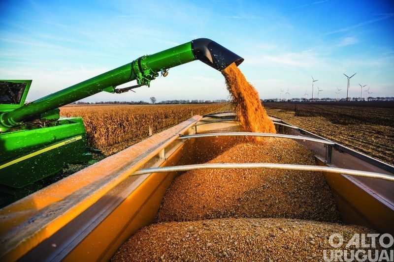 Safra agrícola deverá superar 318 milhões de toneladas neste ano