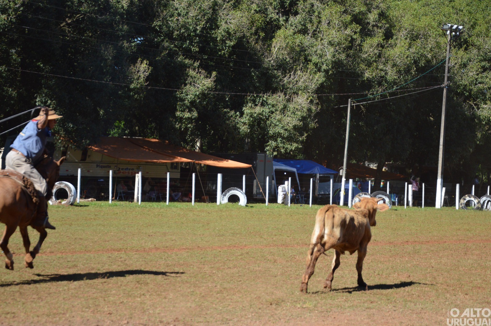 Rodeio Crioulo de FW encerra neste domingo