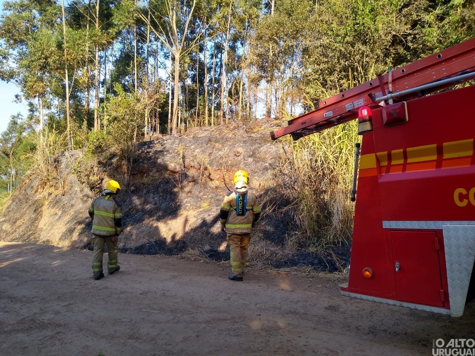 Bombeiros de FW são acionados para controlar incêndio em vegetação