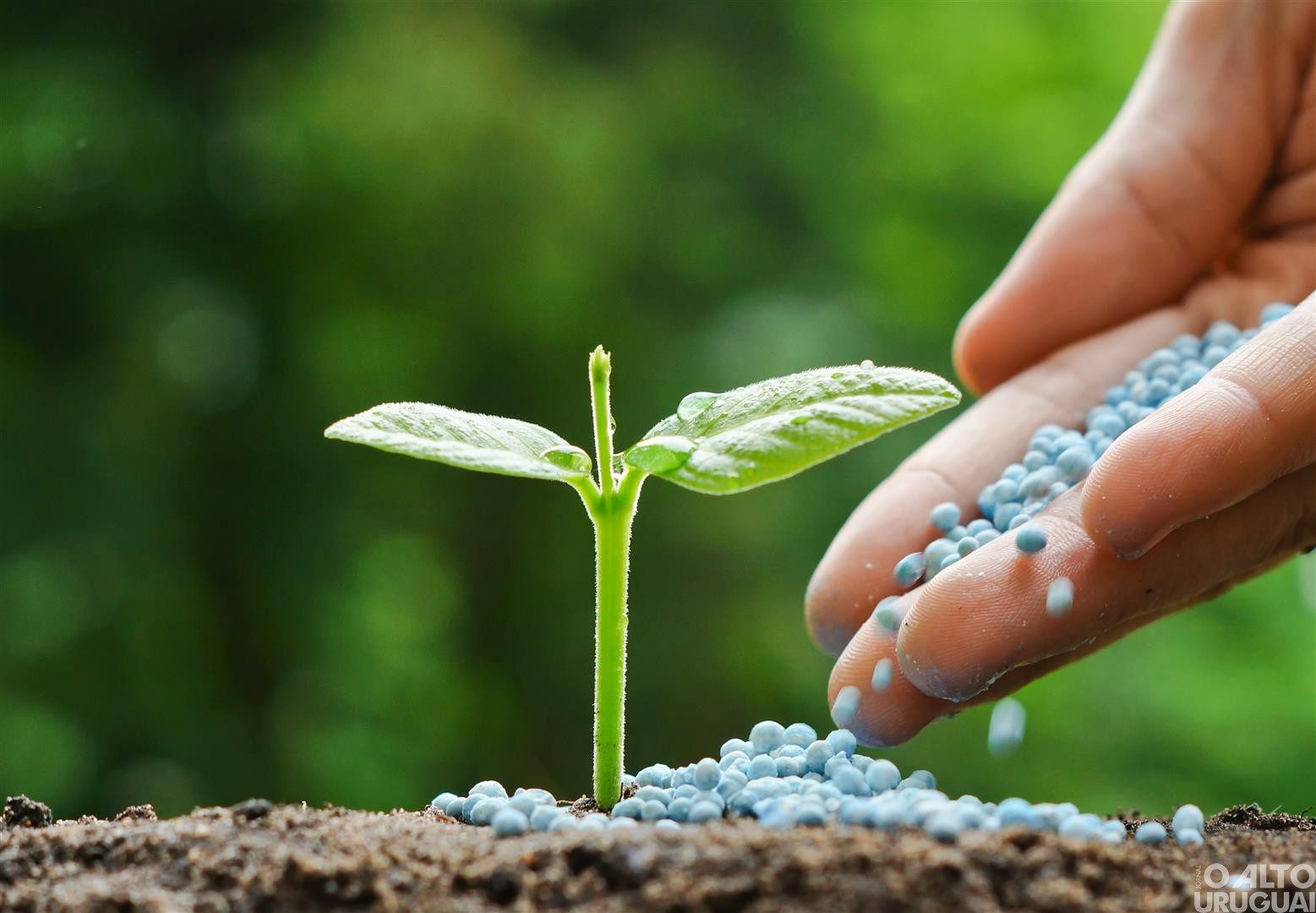 URI/FW oferece MBA em Solos e Nutrição de Plantas