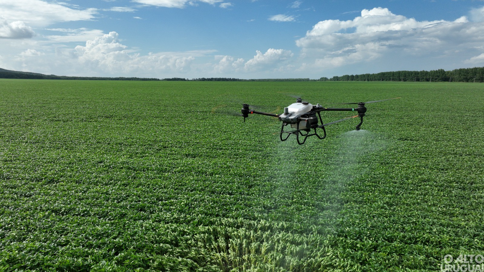 Tecnologia agiliza processos e gera economia no campo