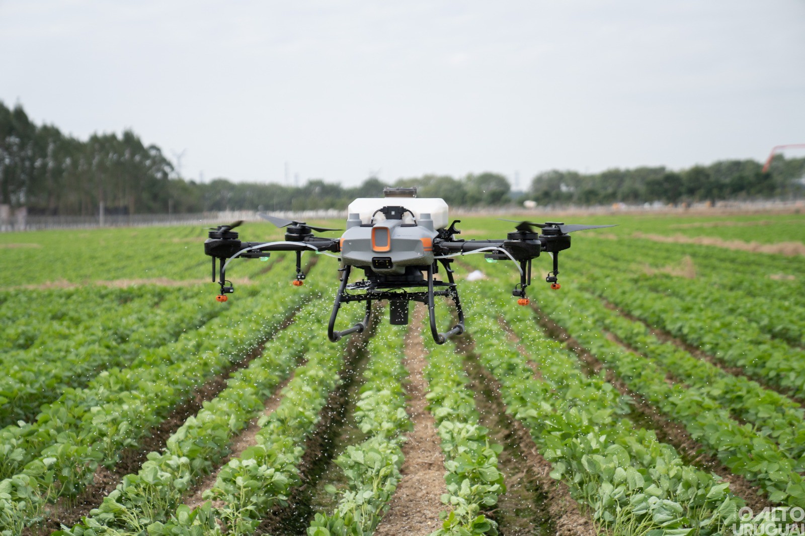 Tecnologia agiliza processos e gera economia no campo