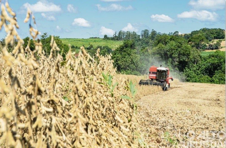 Mais de dois terços da área cultivada com soja já foram colhidos