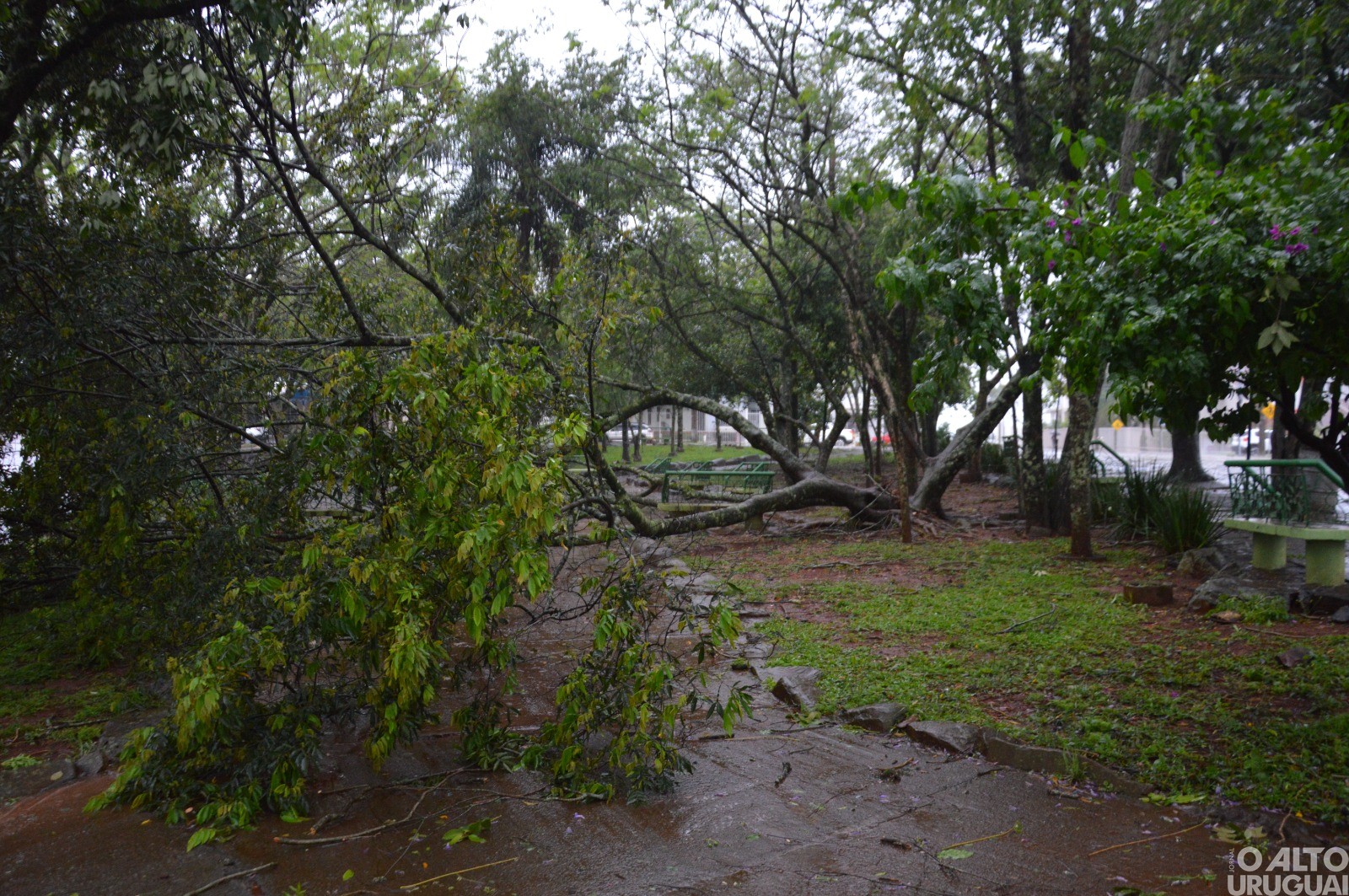 Forte temporal causa transtornos na região 