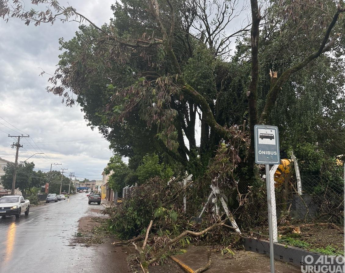 Temporal atingiu 80% de Palmeira das Missões